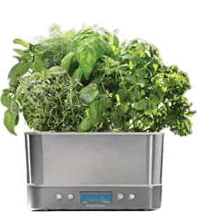 Aerogarden Harvest Elite 2019