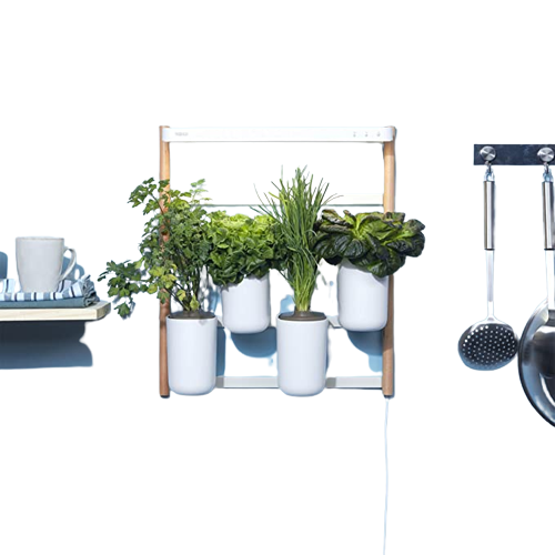 Prêt à Pousser Modulo Smart Garden